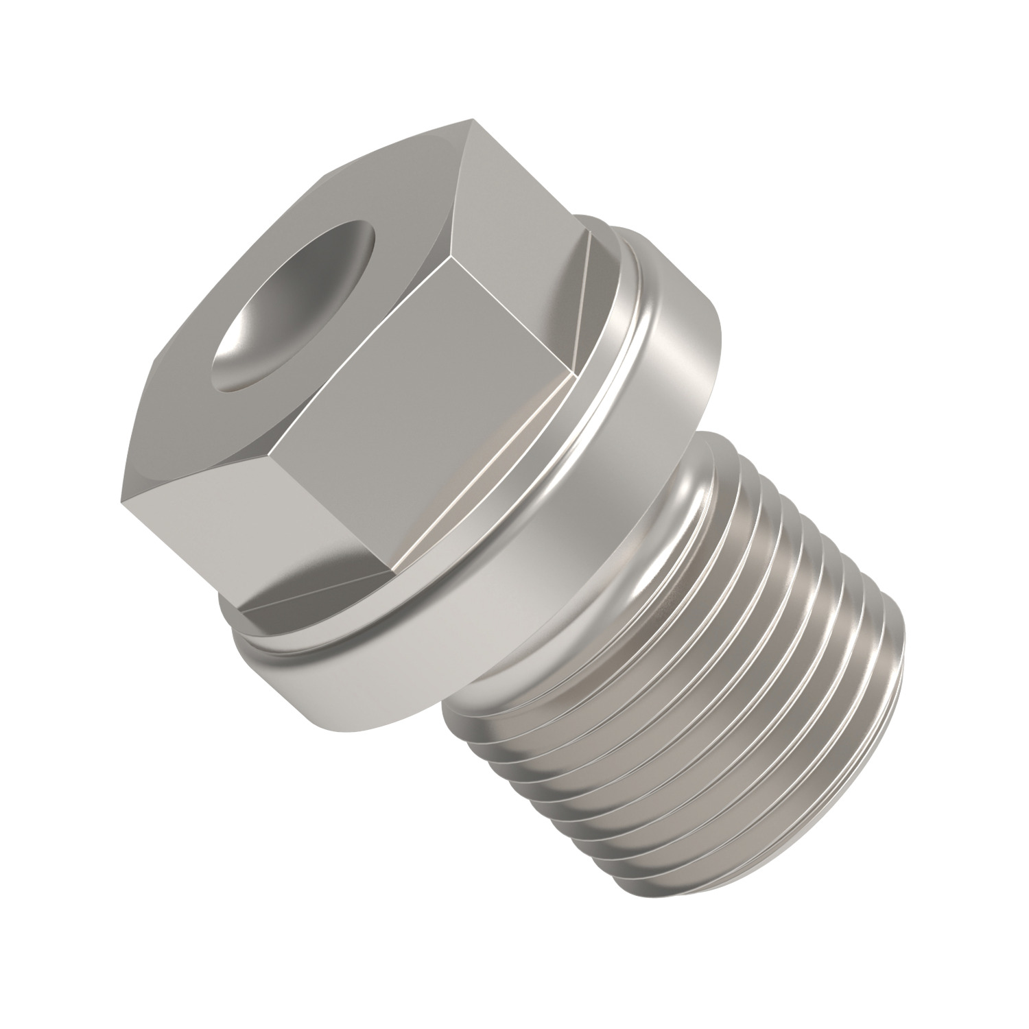 Blanking Plugs Heavy Duty Blanking plugs, heavy duty for metric or BSP (british standard pipe threads). In stainless, steel and brass. To DIN 910.